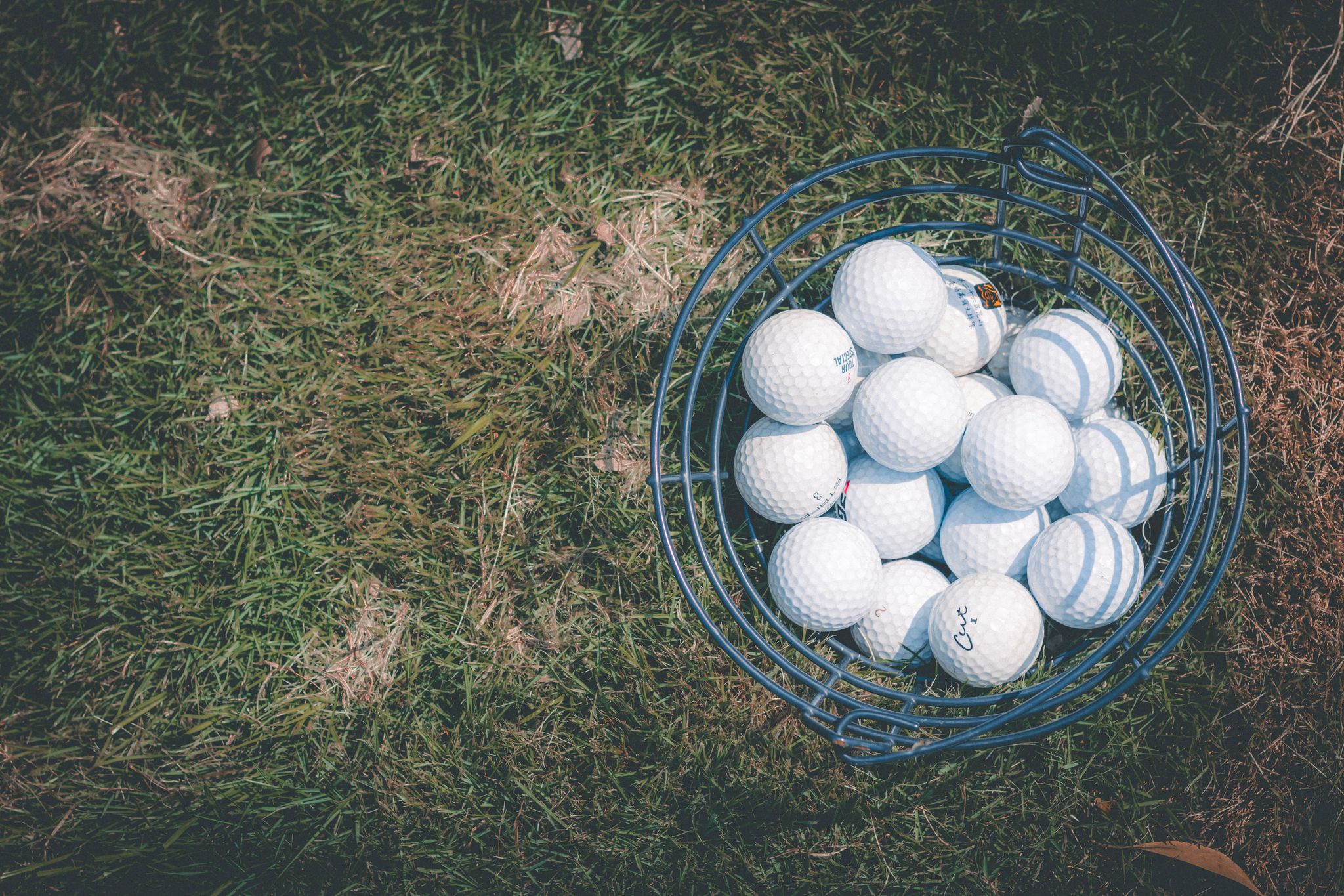 A basket full of golf balls resting on a sunlit lawn, perfect for sports and leisure themes.