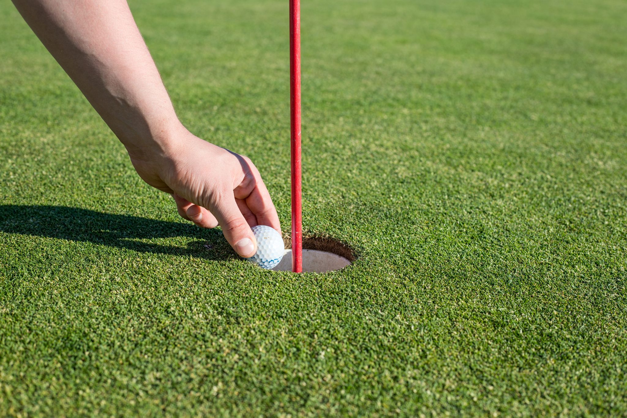 A hand retrieves a golf ball from the hole on a well-manicured green, signifying a successful putt.