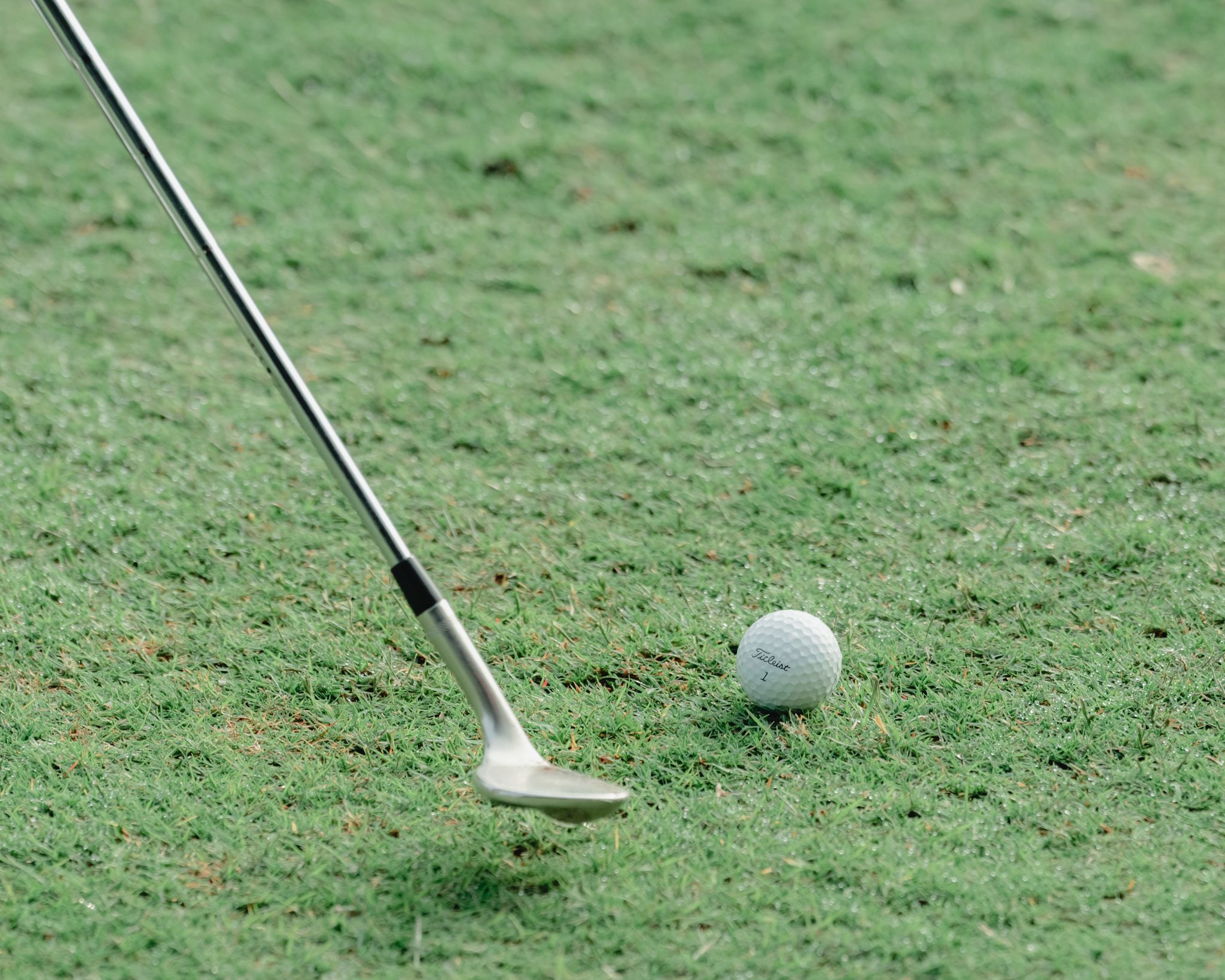 Golf club poised to hit a ball on well-maintained green grass, capturing the essence of the sport.